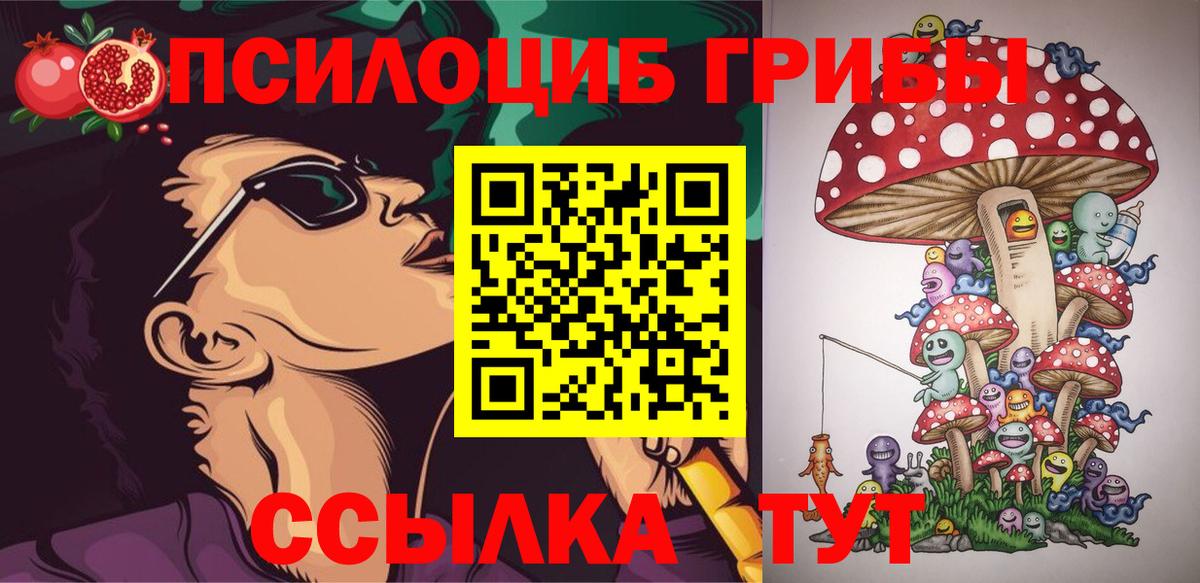 Галлюциногенные грибы Psilocybe  Вход с VPN  Фурманов 